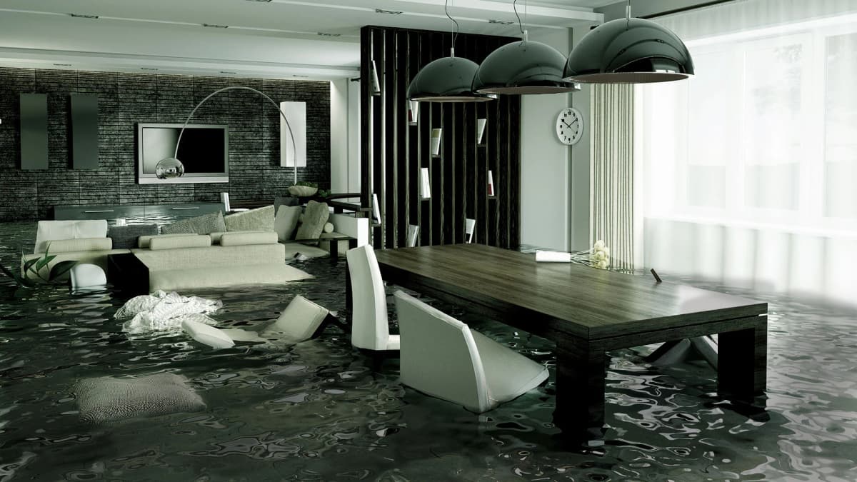 Water damage expert documenting assessment