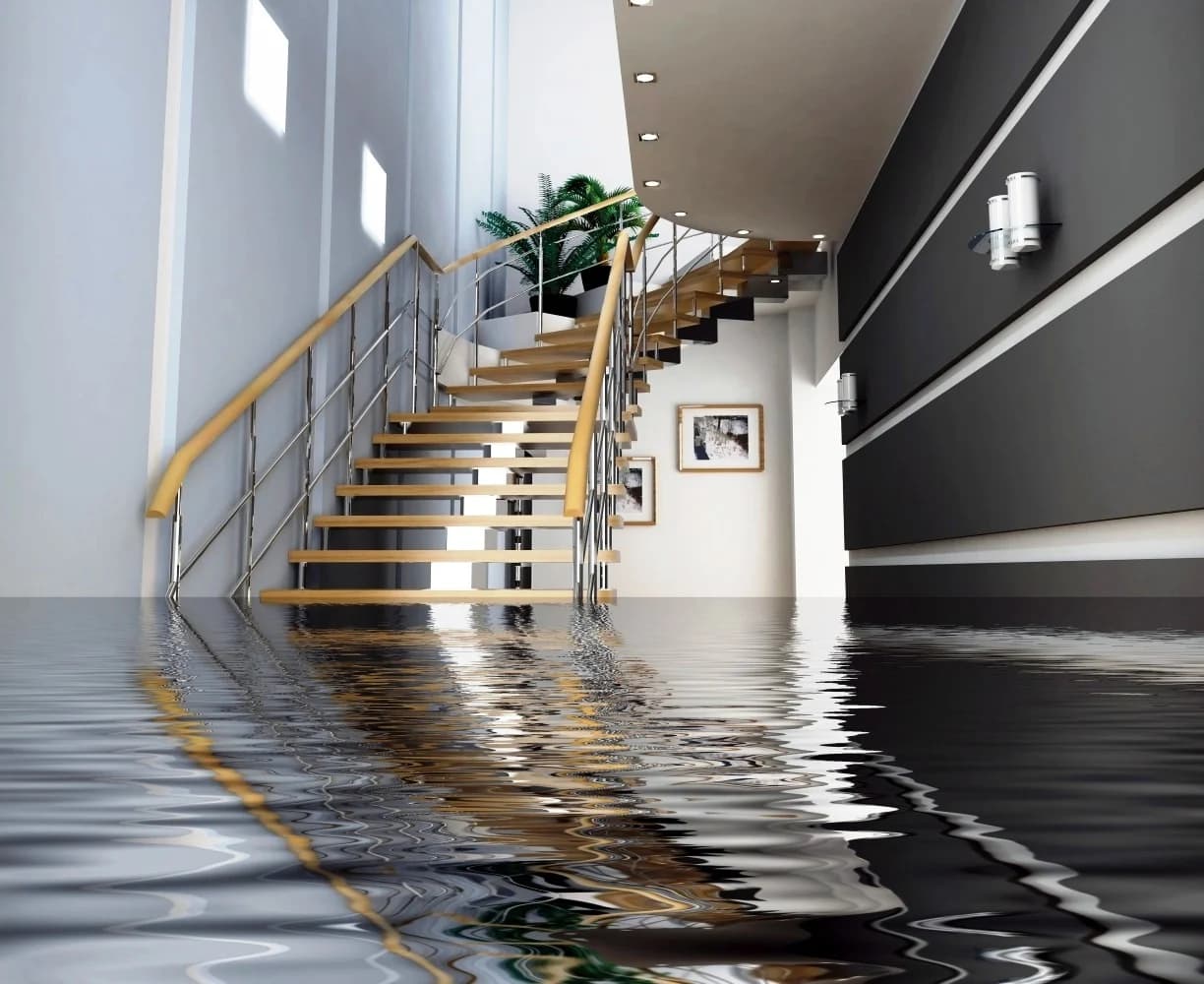Water damage assessment professional examining damaged structure