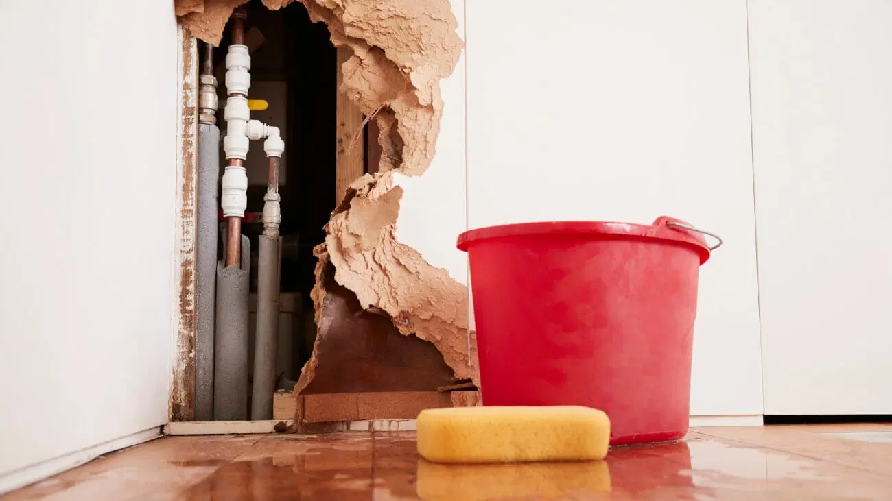 Expert providing water damage testimony in legal setting